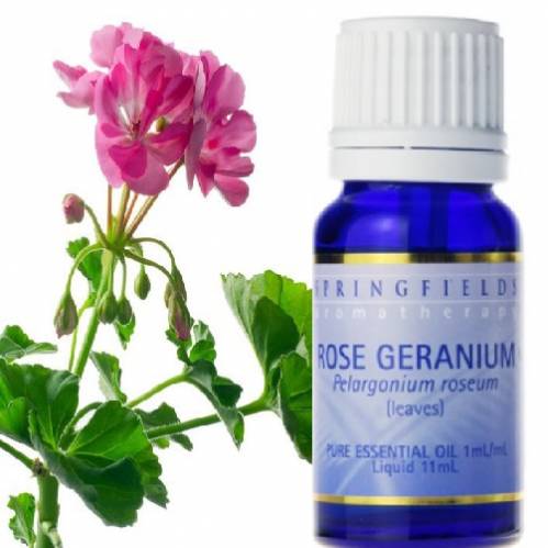 ROSE GERANIUM ESSENTIAL OIL